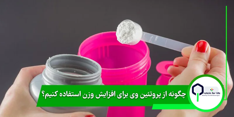 چگونه از پروتئین وی برای افزایش وزن استفاده کنیم؟