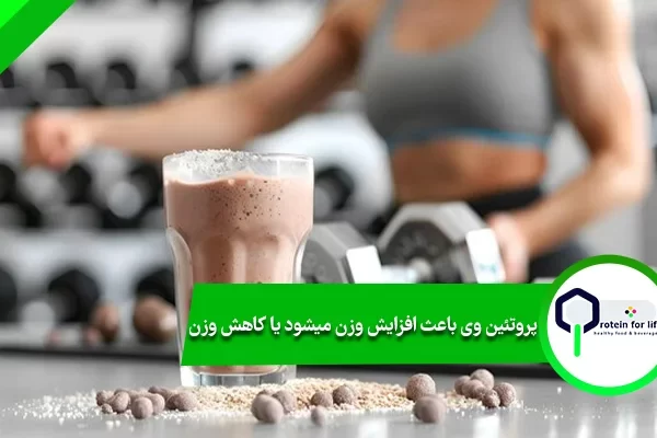 پروتئین وی باعث افزایش وزن میشود یا کاهش وزن