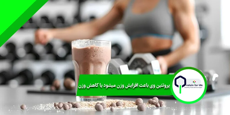 پروتئین وی باعث افزایش وزن میشود یا کاهش وزن