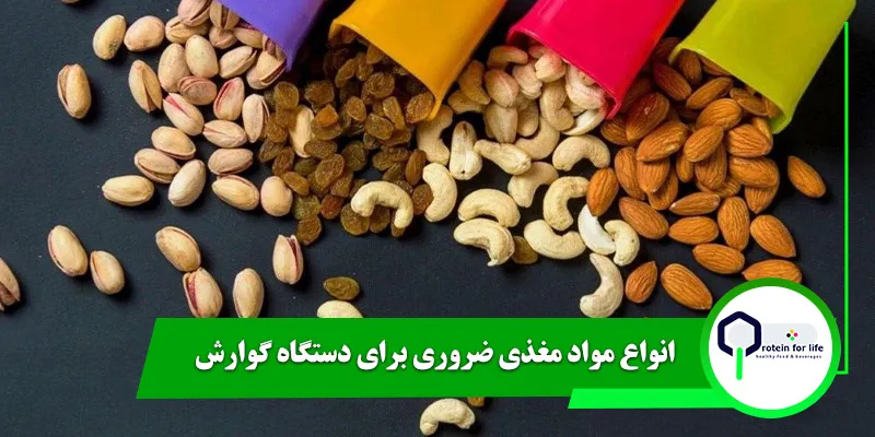 انواع مواد مغذی ضروری برای دستگاه گوارش