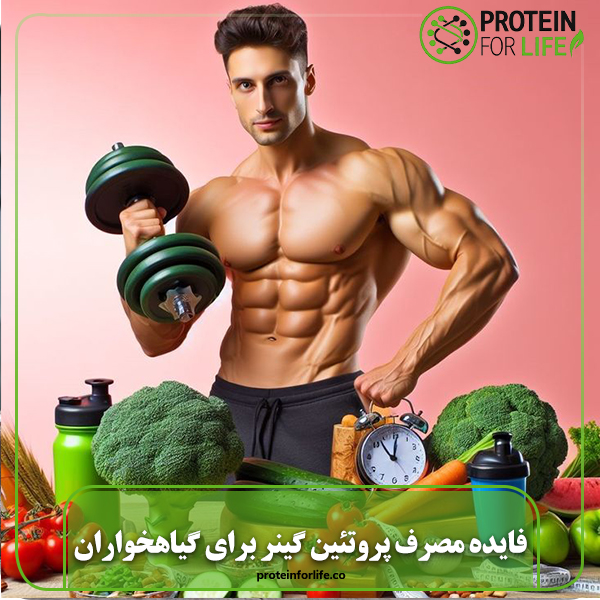 مصرف پروتئین گینر برای گیاهخواران