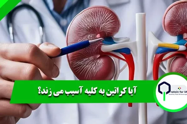 آیا کراتین به کلیه آسیب می زند؟