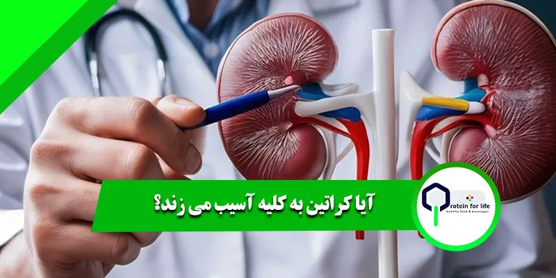 آیا کراتین به کلیه آسیب می زند؟