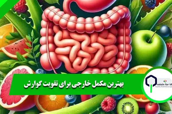بهترین مکمل خارجی برای تقویت گوارش