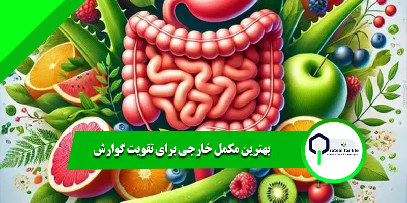 بهترین مکمل خارجی برای تقویت گوارش