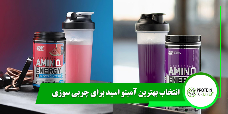 انتخاب بهترین آمینو اسید برای چربی سوزی