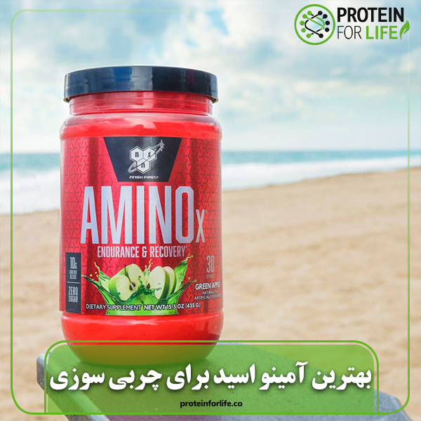 بهترین آمینو اسید برای چربی سوزی