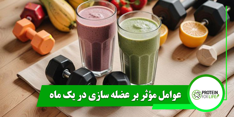 عوامل مؤثر بر عضله سازی در یک ماه