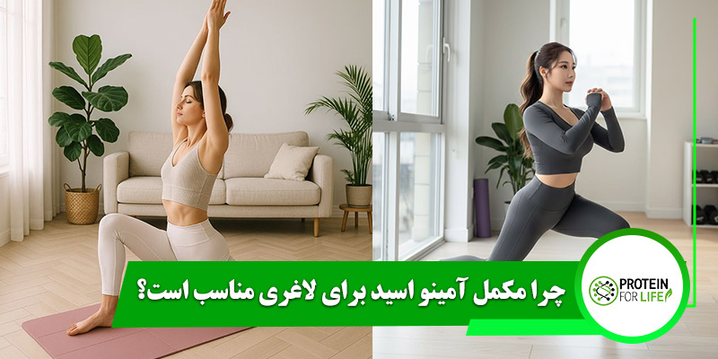 چرا مکمل آمینو اسید برای لاغری مناسب است؟